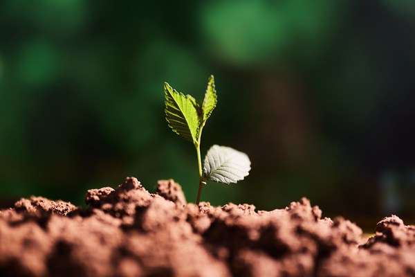 精準(zhǔn)溯源！南京積極探索農(nóng)業(yè)面源污染防治新模式