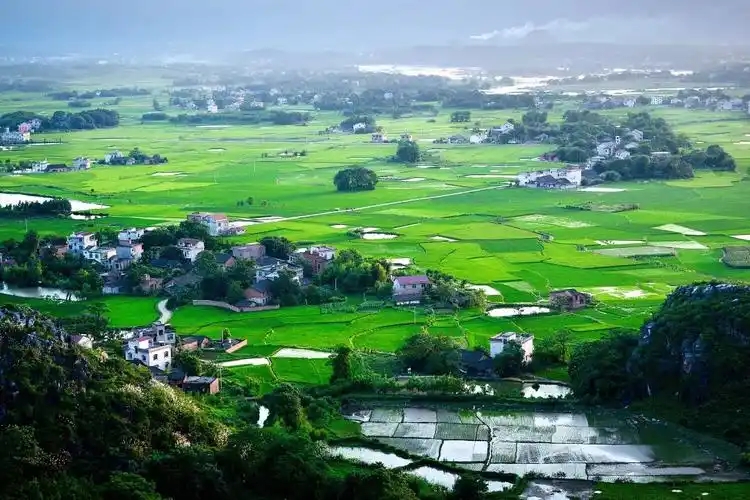 政府工作報(bào)告出爐，2025年生態(tài)環(huán)保工作這么干！