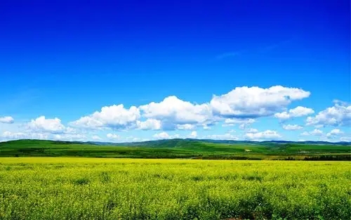 深港強化生態(tài)環(huán)境領域規(guī)則銜接與機制對接，攜手共赴美麗中國先行區(qū)之約 