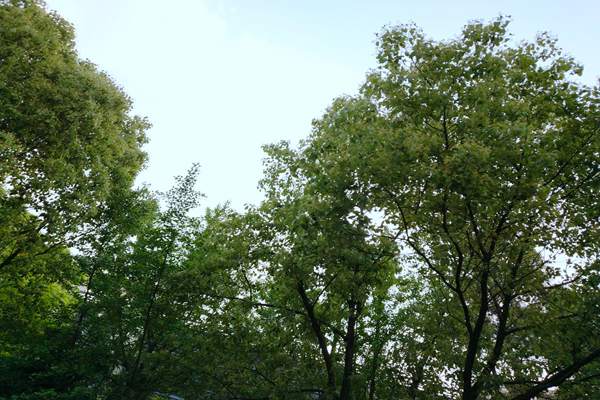 《汕尾市空氣質(zhì)量持續(xù)改善行動方案》印發(fā)