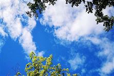 迎“藍”而上！直擊攀枝花、德陽、內(nèi)江大氣攻堅現(xiàn)場