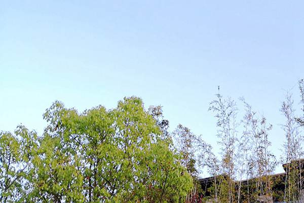 廢氣治理＋綠色運輸！安徽省第三生態(tài)環(huán)境保護督察組調(diào)研阜陽空氣質(zhì)量提升攻堅 