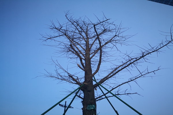 提“氣”質(zhì)丨打造2.0版本，實(shí)現(xiàn)“大數(shù)據(jù)”精準(zhǔn)治污