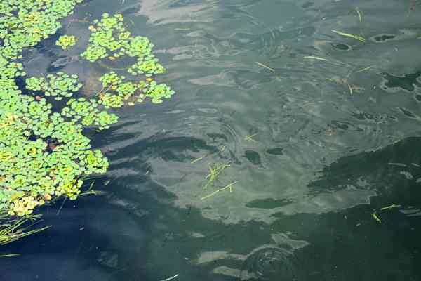 常州市召開全市污染防治攻堅(jiān)推進(jìn)會(huì) 