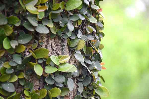 全國已建成“兩級(jí)、三類、一清單”的生態(tài)環(huán)境分區(qū)管控體系 