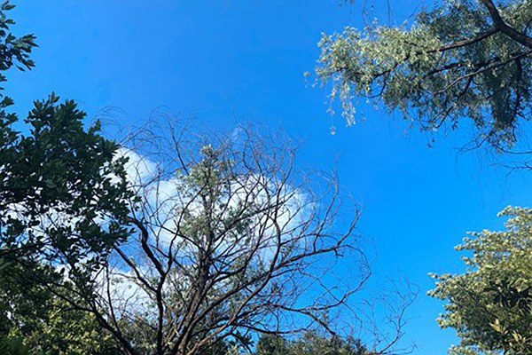 筑牢“真準(zhǔn)全”數(shù)據(jù)基石，數(shù)智賦能打贏藍(lán)天保衛(wèi)戰(zhàn) 